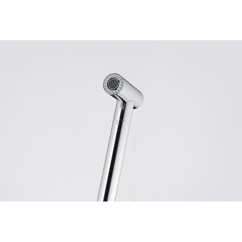 Franke Icon Pull Out Kitchen Tap Double Jet Shower Chrome Brass 355mm